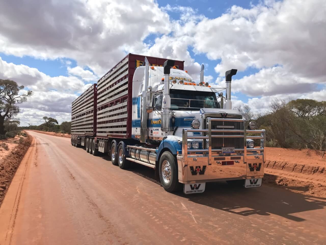 Livestock Trucking Companies