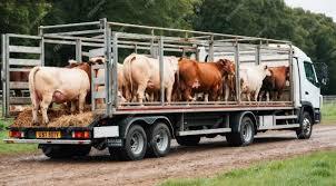 livestock transport services
