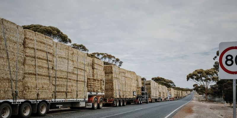 Hay Transport Specialists